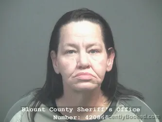 Mugshot of ANGELA MARIE QUINN booked in Blount County, Tennessee on April 9, 2026