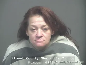 Mugshot of AMBER NICHOLE RIDGE booked in Blount County, Tennessee on March 8, 2026