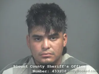 Mugshot of Bernardo Cansino Rodriguez booked in Blount County, Tennessee on July 23, 2026