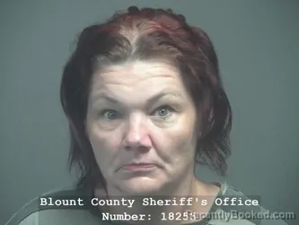 Mugshot of Bobbie Joann Roman Rodriguez booked in Blount County, Tennessee on July 18, 2026