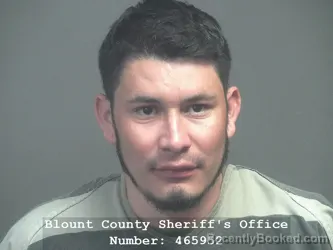 Mugshot of CARLOS ARMANDO RUIZ-DIAZ booked in Blount County, Tennessee on May 9, 2026