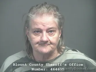 Mugshot of FRANCES MARIE RODGERS booked in Blount County, Tennessee on April 6, 2026