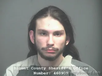 Mugshot of JOSEPH COY RUNYON booked in Blount County, Tennessee on April 9, 2026