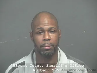 Mugshot of JEROME HESTER ROBINSON booked in Blount County, Tennessee on March 28, 2026