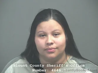 Mugshot of NICOLL ALEJANDRA RIVERA-YANEZ booked in Blount County, Tennessee on April 2, 2026