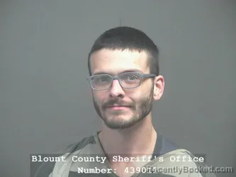 Mugshot of ROBERT LEWIS RUTHERFORD booked in Blount County, Tennessee on April 6, 2026