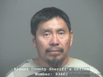 Mugshot of VICTOR HUGO RAMOS-ALONZO booked in Blount County, Tennessee on March 10, 2026