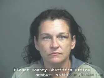 Mugshot of Ashlee Nicole Spradlin booked in Blount County, Tennessee on July 26, 2026