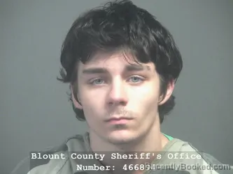Mugshot of ANAKIN SKYWALKER STINNETT booked in Blount County, Tennessee on June 3, 2026