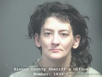 Booking photo from Blount County, Tennessee