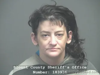 Mugshot of Chesney Danielle Sizemore booked in Blount County, Tennessee on July 10, 2026