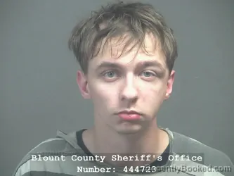 Mugshot of DONAVIN GAGE SCHMIDT booked in Blount County, Tennessee on April 9, 2026