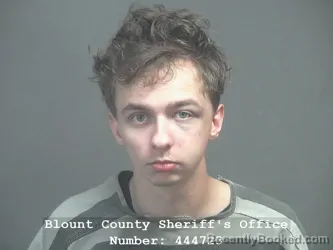 Mugshot of DONAVIN GAGE SCHMIDT booked in Blount County, Tennessee on April 10, 2026