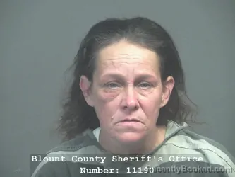 Mugshot of HOLLY ANN STINNETT booked in Blount County, Tennessee on June 15, 2026