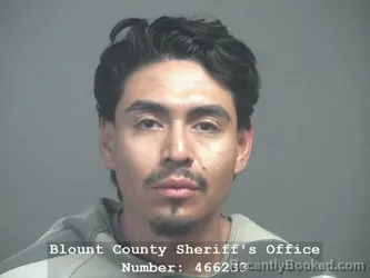 Mugshot of JARILLO SERGIO-ENRIQUE booked in Blount County, Tennessee on May 16, 2026