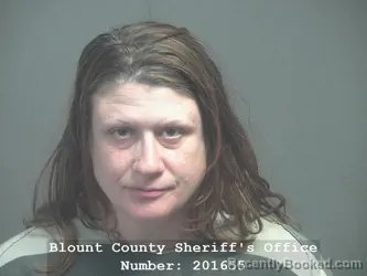 Mugshot of JESSICA ANN SIMPSON booked in Blount County, Tennessee on April 17, 2026