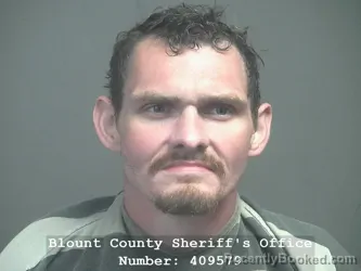 Booking photo from Blount County, Tennessee