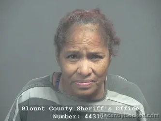 Mugshot of KAREN FAYE SMITH booked in Blount County, Tennessee on June 15, 2026