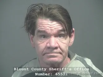 Mugshot of ROBERT LESTER SLOAN booked in Blount County, Tennessee on March 16, 2026