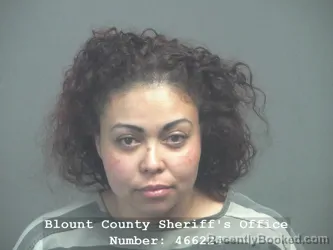 Mugshot of ANA TINOCO-TORRES booked in Blount County, Tennessee on May 16, 2026
