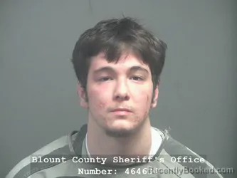 Mugshot of AIDEN ALEXANDER TAMEZ booked in Blount County, Tennessee on April 3, 2026