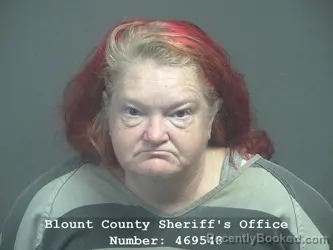 Mugshot of Amy Sue Teague booked in Blount County, Tennessee on August 5, 2026