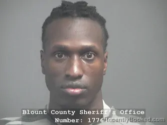 Mugshot of GAI TUT TEL booked in Blount County, Tennessee on March 10, 2026