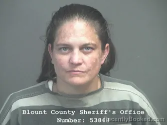 Mugshot of HEATHER NICOLE TEEPLE booked in Blount County, Tennessee on June 5, 2026