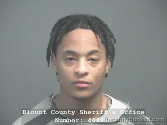 Mugshot of TIMIR XZERIAN THOMAS booked in Blount County, Tennessee on March 26, 2026