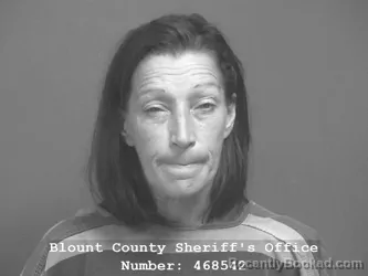 Mugshot of Sherry Lynn Underwood booked in Blount County, Tennessee on July 14, 2026
