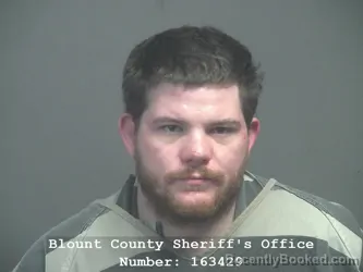 Mugshot of Christopher Stephen Vance booked in Blount County, Tennessee on July 31, 2026