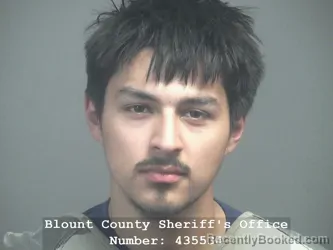 Mugshot of EFRAIN CHARLES VALENCIA booked in Blount County, Tennessee on April 4, 2026