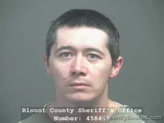 Mugshot of JACKIE LYNN VITTETOE booked in Blount County, Tennessee on April 1, 2026