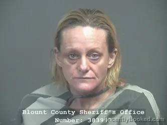 Mugshot of Kimberly Marie Vandiver booked in Blount County, Tennessee on August 3, 2026