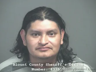 Mugshot of LAURO CRISTOBAL VALLE booked in Blount County, Tennessee on March 25, 2026