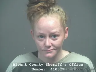 Mugshot of LINDA MARIE VAUGHN booked in Blount County, Tennessee on April 3, 2026