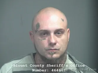 Mugshot of MICHAEL LAURENCE VICKERY booked in Blount County, Tennessee on April 3, 2026