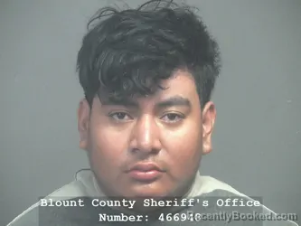 Mugshot of NESTOR ISAIAS VARGAS RAMOS booked in Blount County, Tennessee on June 5, 2026