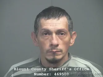 Mugshot of Reginaldo Vasquez-Leiva booked in Blount County, Tennessee on August 4, 2026
