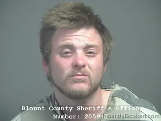 Mugshot of BOBBY DEAN WILLIAMS booked in Blount County, Tennessee on April 4, 2026