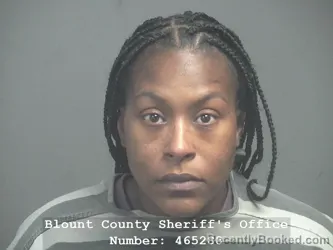 Mugshot of BRITTANY DANIELLE WOODS booked in Blount County, Tennessee on April 20, 2026