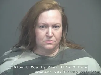 Mugshot of BRANDY LEEANNE WATSON booked in Blount County, Tennessee on April 10, 2026