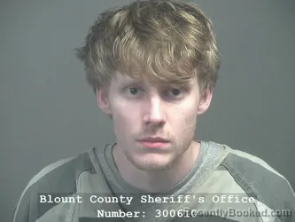 Mugshot of COREY THOMAS WILLIAMS booked in Blount County, Tennessee on April 2, 2026