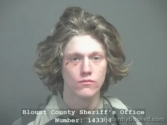 Mugshot of JOHNNY AIDEN-RAY WOODHAM booked in Blount County, Tennessee on April 10, 2026