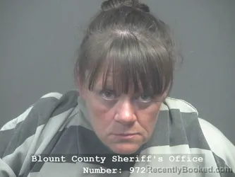 Mugshot of JOANN ELIZABETH WHALEY CURTIS booked in Blount County, Tennessee on May 10, 2026