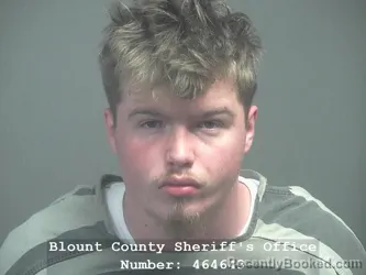 Mugshot of LEVI JAMES WEBB booked in Blount County, Tennessee on April 4, 2026