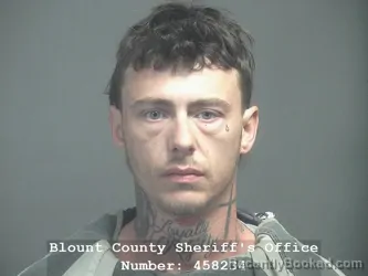 Mugshot of LOGAN RYAN WOLFENBARGER booked in Blount County, Tennessee on March 23, 2026