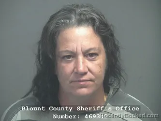 Mugshot of Misty Dawn Walker booked in Blount County, Tennessee on July 31, 2026