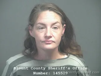 Mugshot of Megan Mashelle Wilburn booked in Blount County, Tennessee on July 9, 2026