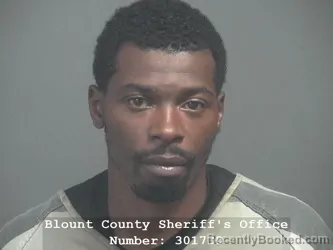 Mugshot of Olajuwon Hakeem Weston booked in Blount County, Tennessee on July 19, 2026